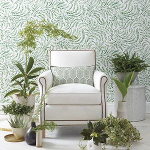 Serena & Lilly Priano Wallpaper in Green